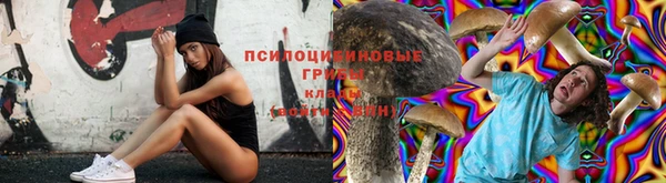 трава Богданович
