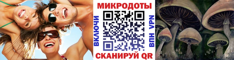 mega как войти  купить наркоту  Добрянка  Псилоцибиновые грибы Magic Shrooms 